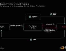 深入了解积分场外交易市场Whales Market