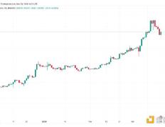 CryptoQuant：由于减半叙事 牛市远未结束