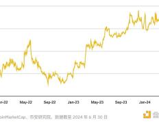 Binance Research：2024年上半年主要L1发展情况一览